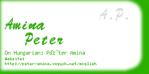 amina peter business card